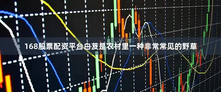 168股票配资平台白芨是农村里一种非常常见的野草