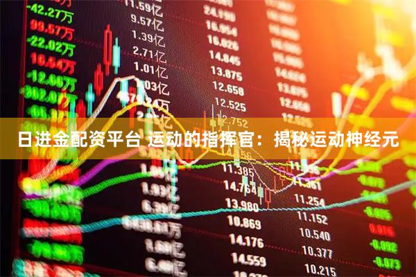 日进金配资平台 运动的指挥官：揭秘运动神经元